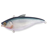 KoX V[oXA[ n_oCu V[NbgfbhXeBbLOyz