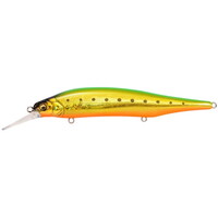 ���K�o�X �V�[�o�X���A�[ X-80 �}�O�i��+1 GG ���C���S�[���h�y���������z