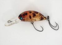 オルタネイティブ ED-HAZE(エドハゼ) ミニ スペック SP IWASHIN