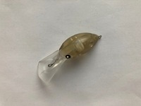 ylR|XΏەizJC SnaQ(XibN) 33DR F ybguE