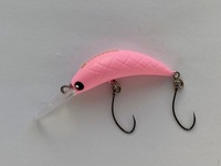 JC gEgvO ZANMU U35MR(NF) Xgx[~N