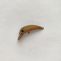 ���J�C �g���E�g�v���O �g���� �X����28MR SS ��^�����̉a