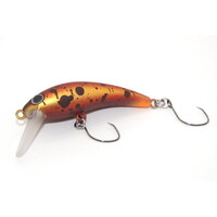 ���J�C �g���E�g�v���O GRAN-Tremo(�O�����g����)40(F) ���b�h�o���h�S�[���h�y���������z