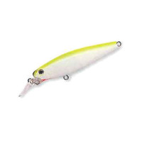 �o�X�f�B�@�����W�~�m�[�Q�@�V�O�r�@�O���[�`���[�g