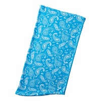 �u���[�y�C�Y���[