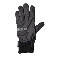 �o�i�@�q�a�a�@�E�H�[�^�[�v���[�t�O���[�u�@�k�k�@�`���R�[��