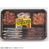 Ⓚi n} ڂ5 ނa   ނx Cނx _Sނ(w20܂)