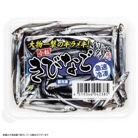 Ⓚi LriS irj ނa   gGT Cނx ^`EI  (w120܂)