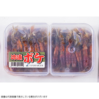 Ⓚi {P Ⓚ ނa   gGT _Sނ Cނx `k(w90܂)