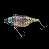 ylR|XΏەizWbJ TN70 t^OXe RTERz u[M