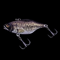 ylR|XΏەizWbJ TN70 t^OXe RTERz oX