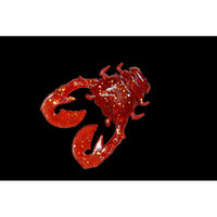 ylR|XΏەizWbJii`bj`kkj у`kIP bhS[ht[N