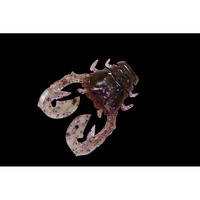 ylR|XΏەizWbJii`bj`kkj у`kIP ZNV[tiV