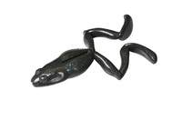 ylR|XΏەizWbJ N[tbO ubNŃKG