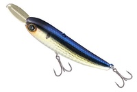 �W���b�J���@���C�U�[�x�C�g�@�O�O�W�@�J���R�m�V��