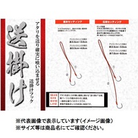 WbJ rr |P2tbN SS(#8)