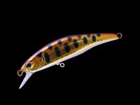 �y�l�R�|�X�Ώەi�z�W���b�J���@�g���R���[���@���c�@�T�R�g�v�@�g�k�R�b�p�[���}��