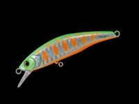 ylR|XΏەizWbJ@gR[@c@URgv@C}