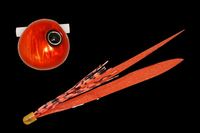 WbJ  rr XCh 45g bhIW/IWS[hT+yz