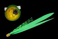 WbJ  rr XCh 45g O[S[h/uO[T+yz