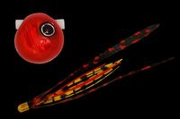 WbJ@@rrʁ@XCh@WO@bhbh^V}bhs{yz