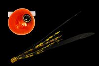 WbJ  rr XCh 100g IWIW/^bbhT+yz