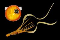 WbJ@@rrʁ@XCh@PQO@IWS[h^CJiSJ[[s{yz