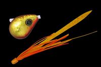 WbJ  rrʃXCh 45g bhS[h/GrIT+