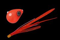 WbJ  rrʃXCh 60g Xp[Nbh/bhS[hT+yz