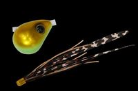 WbJ  rrʃXCh 60g `[gO[S[h/PCT+yz