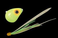 WbJ  rrʃXCh 80g zbg`[g/CJO[T+yz