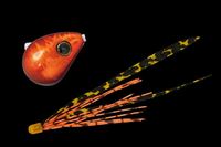 WbJ@@rrʃXCh@POO@bhIW^V}Is{yz