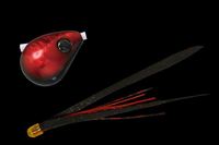 WbJ  rrʃXCh 100g ubNbh/^bbhT+yz