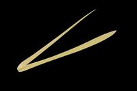 WbJ@rrʂs{lN^C@tBlXXg[g@CJiS[h