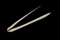 WbJ rrT+lN^C tBlXXg[g CJO[