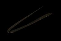 WbJ rrT+lN^C tBlXXg[g ^bbht[N