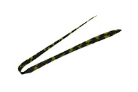 WbJ rrT+lN^C tBlXXg[g V}V}OpS[h