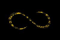 WbJ@rrʂs{lN^C@J[[@V}V}GrIW