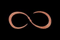 WbJ@rrʂs{lN^C@J[[@A~A~bht[N