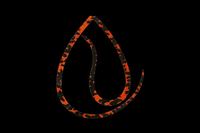 WbJ rrT+lN^C tBlXJ[[ V}V}IW