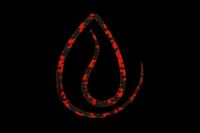 WbJ rrT+lN^C tBlXJ[[ V}V}bh