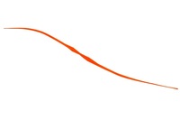 WbJ rrT+lN^C Z~J[[ uIWyz