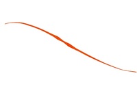 WbJ rrT+lN^C Z~J[[ IWS[ht[Nyz