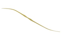 WbJ rrT+lN^C Z~J[[ CJiS[h