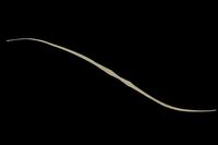 WbJ rrT+lN^C Z~J[[ CJO[