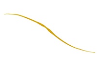 WbJ rrT+lN^C Z~J[[ GrIWyz