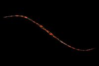 WbJ rrT+lN^C Z~J[[ V}V}IW