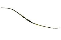 WbJ rrT+lN^C Z~J[[ V}V}OpS[hyz