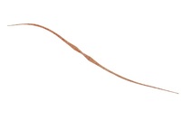 WbJ rrT+lN^C Z~J[[ A~A~bht[Nyz