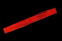 WbJ rrT+XJ[g bhS[ht[N